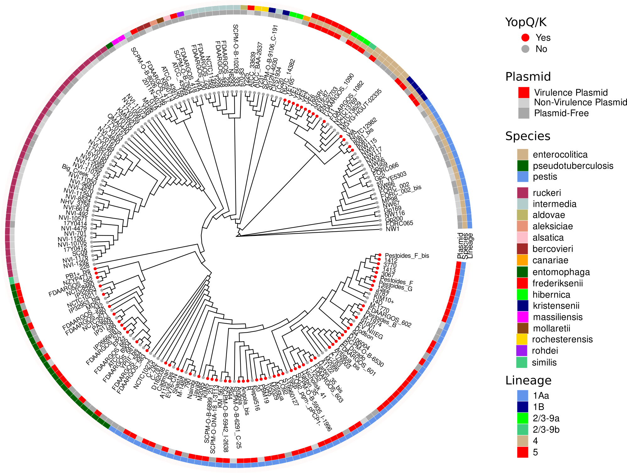 ggtree_and_gheatmap_198