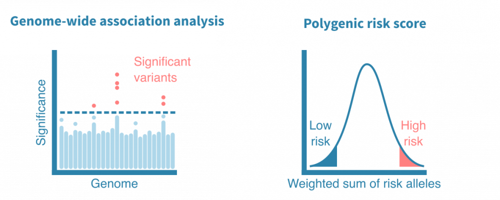 gwas_and_prs2