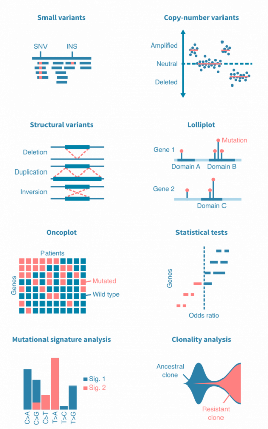 somatic_mutation_analysis.530x0-is