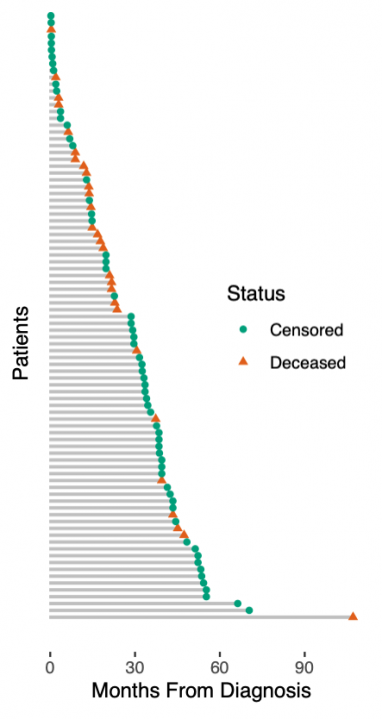 cancer_survival_data.382x0-is