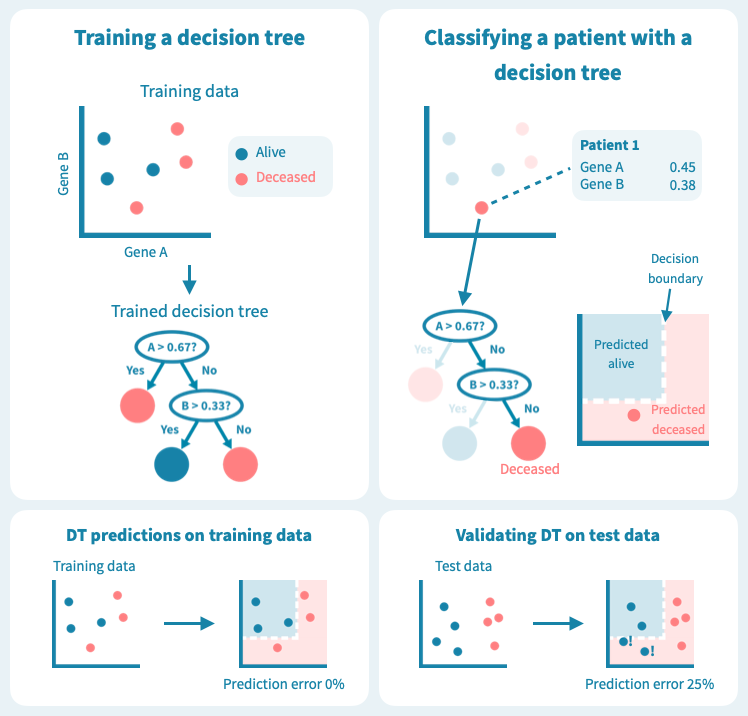 cancer_survival_decision_tree