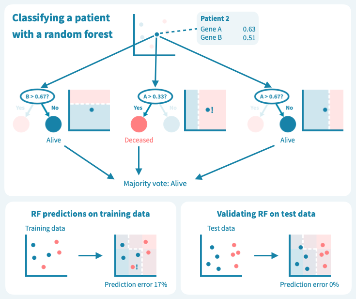 cancer_survival_random_forest_classific