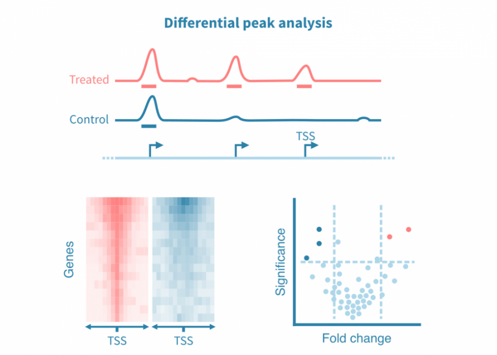 differential_peak_analysis.983x0-is