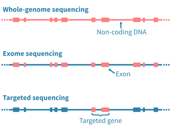 dna_seq