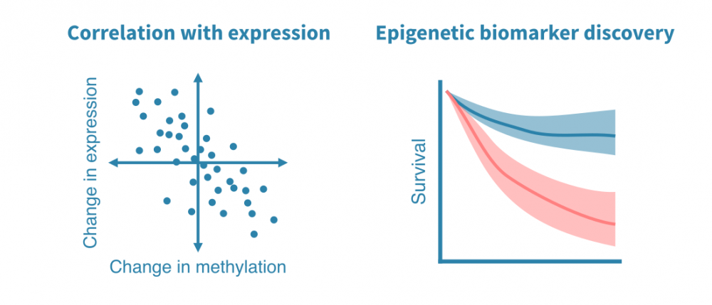 methylation_analysis