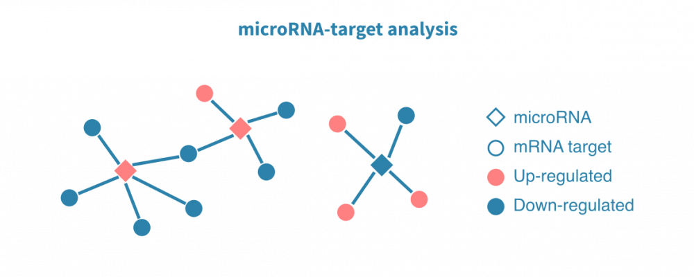mirna_seq_analysis