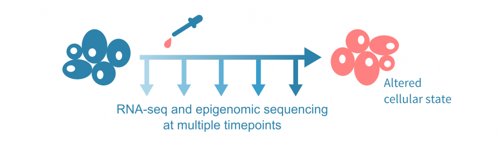 multiomic_ngs_experiments