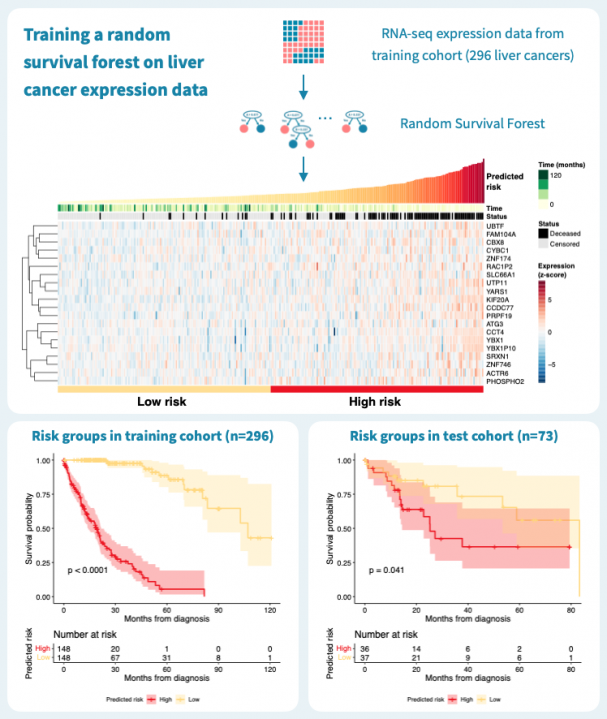 predicting_cancer_survival_with_machine
