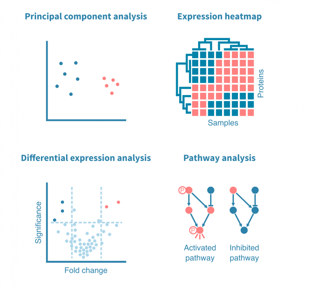 proteomic_analysis (1)