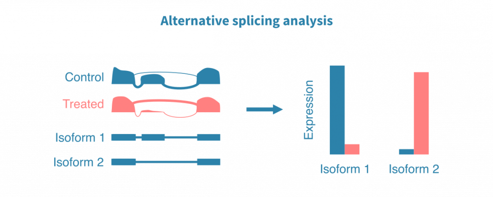 rna_seq_alternative_splicing_analysis