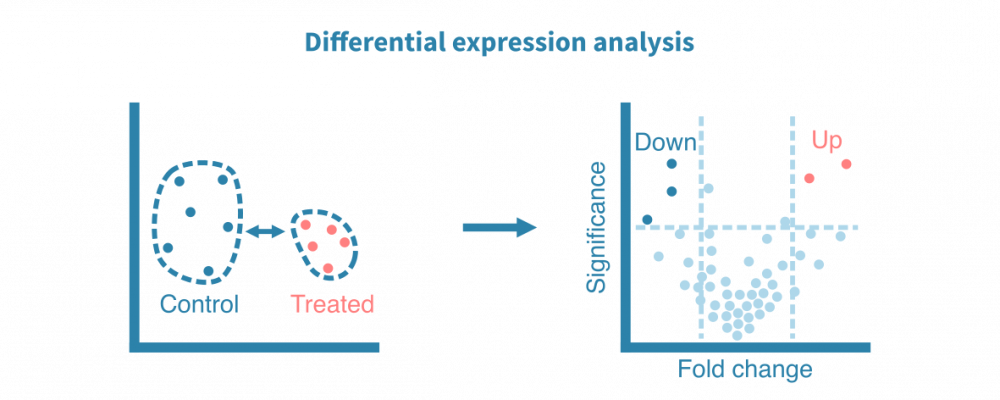 rna_seq_differential_expression_analysis