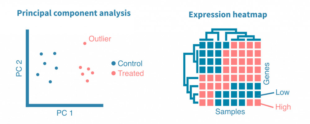 rna_seq_exploratory_analysis