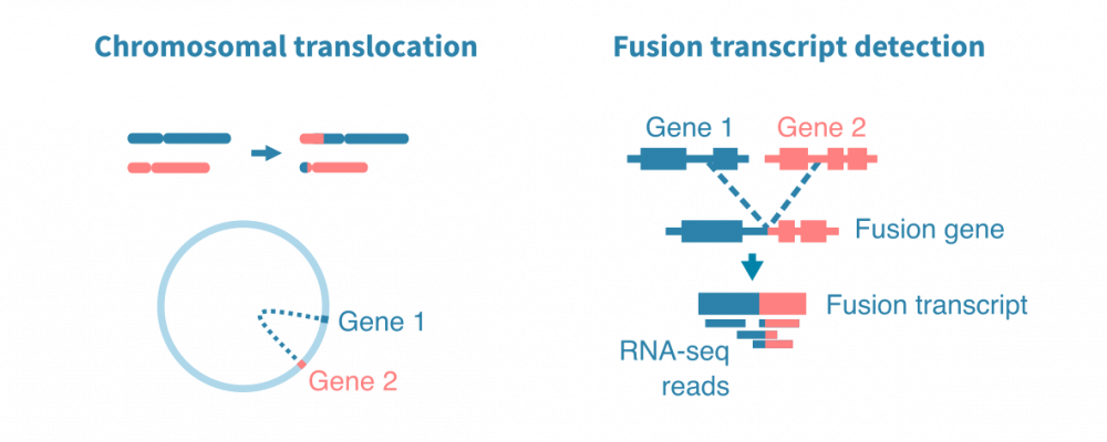 rna_seq_fusion_detection