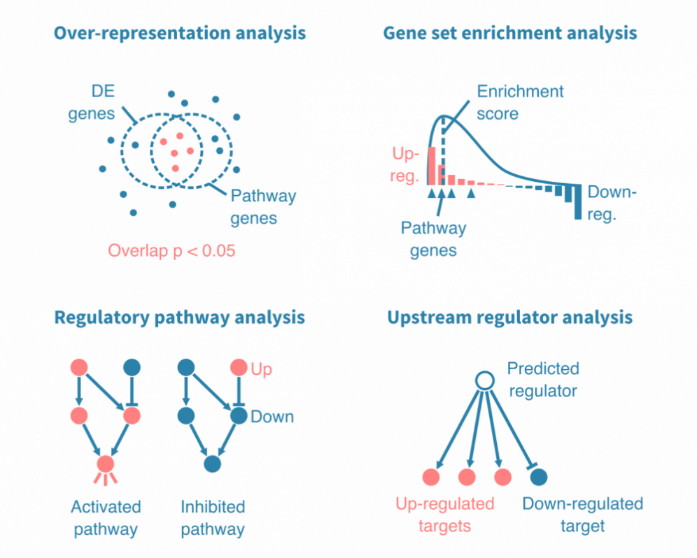 rna_seq_pathway_analysis.996x0-is