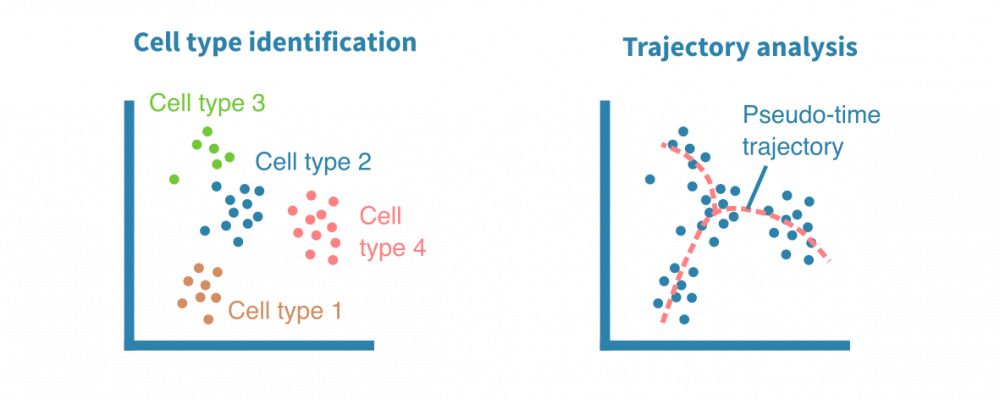 scrna_seq_analysis