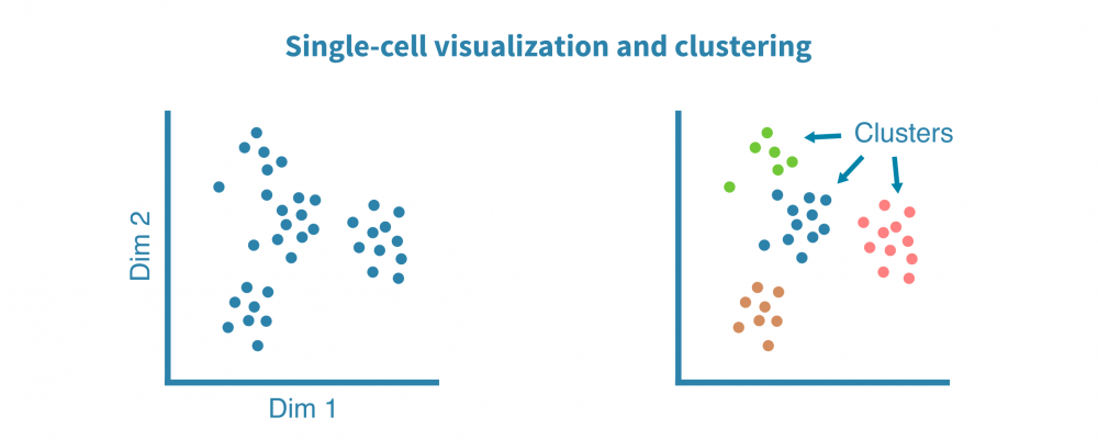 scrna_seq_exploratory_analysis