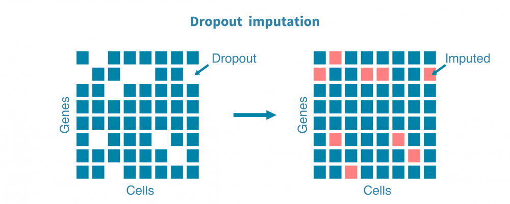 scrna_seq_imputation