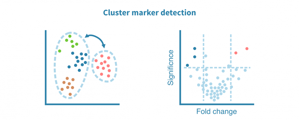 scrna_seq_marker_detection