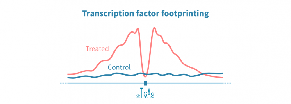 tf_footprinting