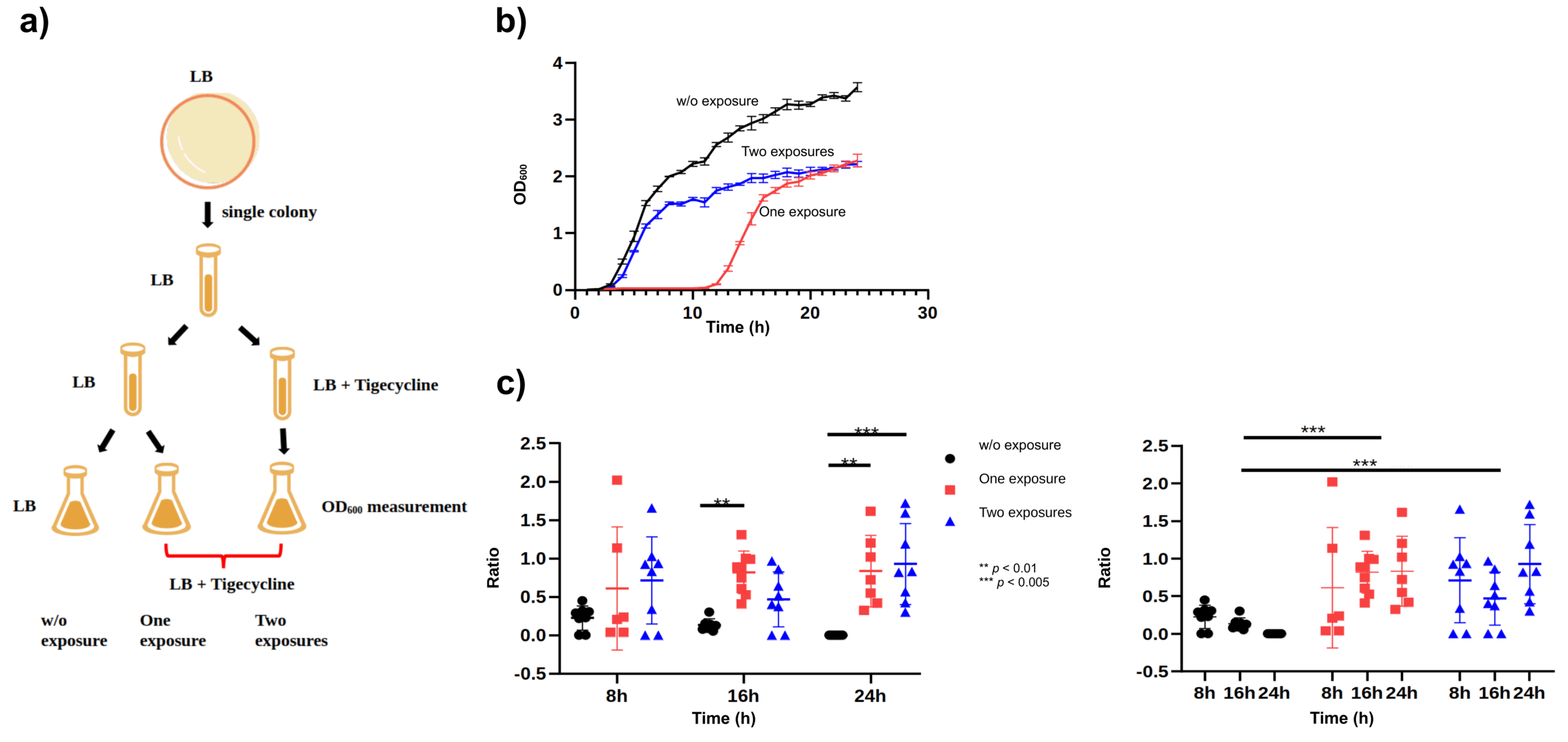 Research_Proposal-E_Figure3