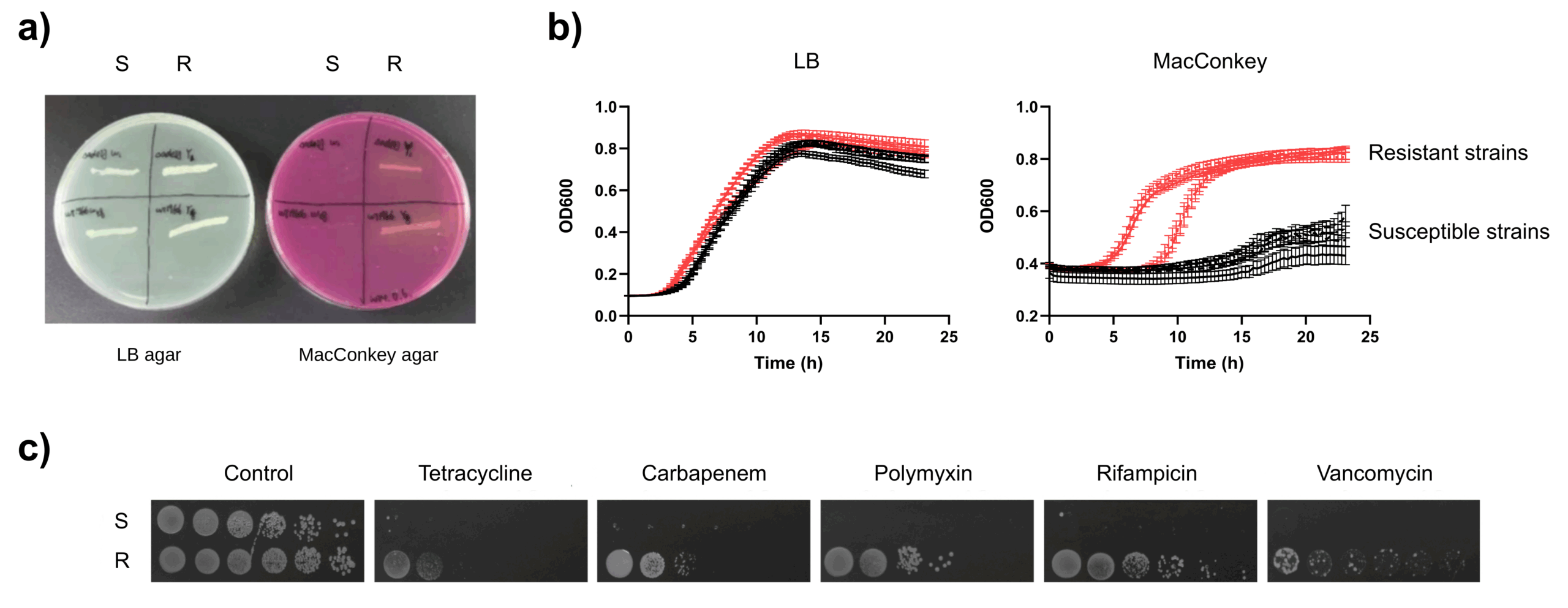 Research_Proposal-E_Figure4