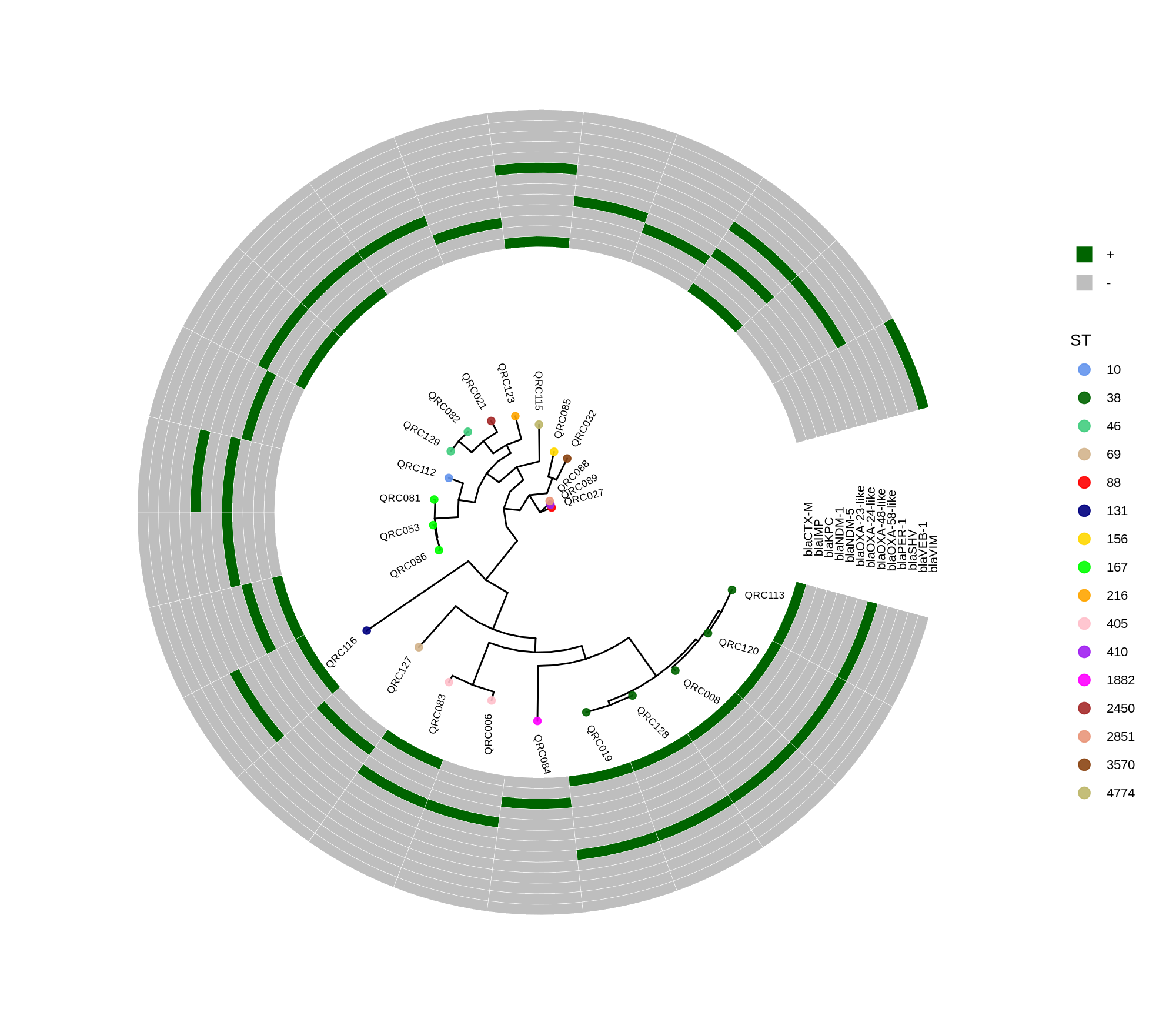 ggtree_and_gheatmap_ecoli