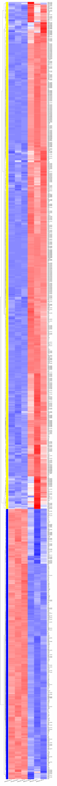 DEGs_heatmap_Mitomycin_18h_vs_Untreated_18h