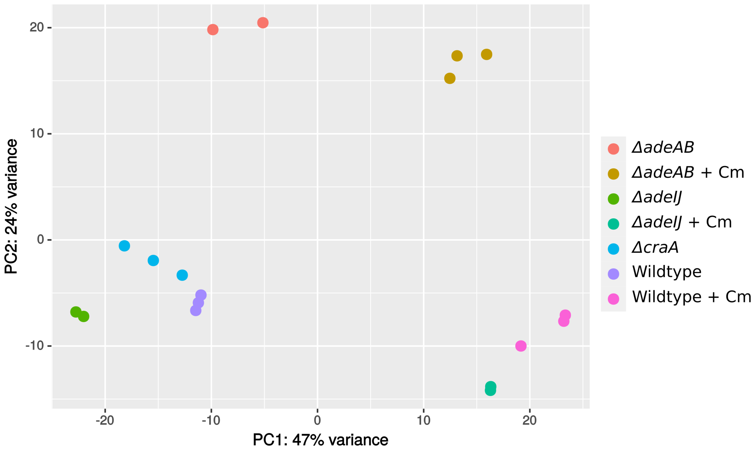 Data_Foong_RNAseq_2021_ATCC19606_Cm_pca_after_batch_correction_400dpi