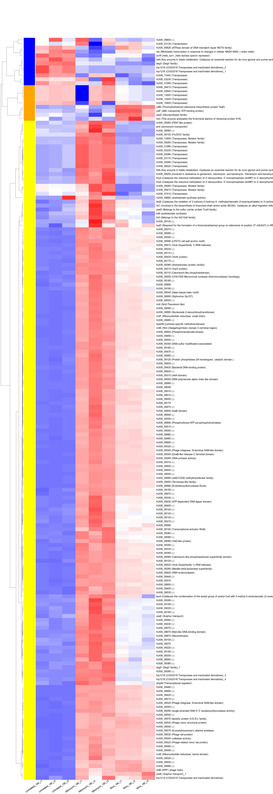heatmap_18h_A_phage_merged3