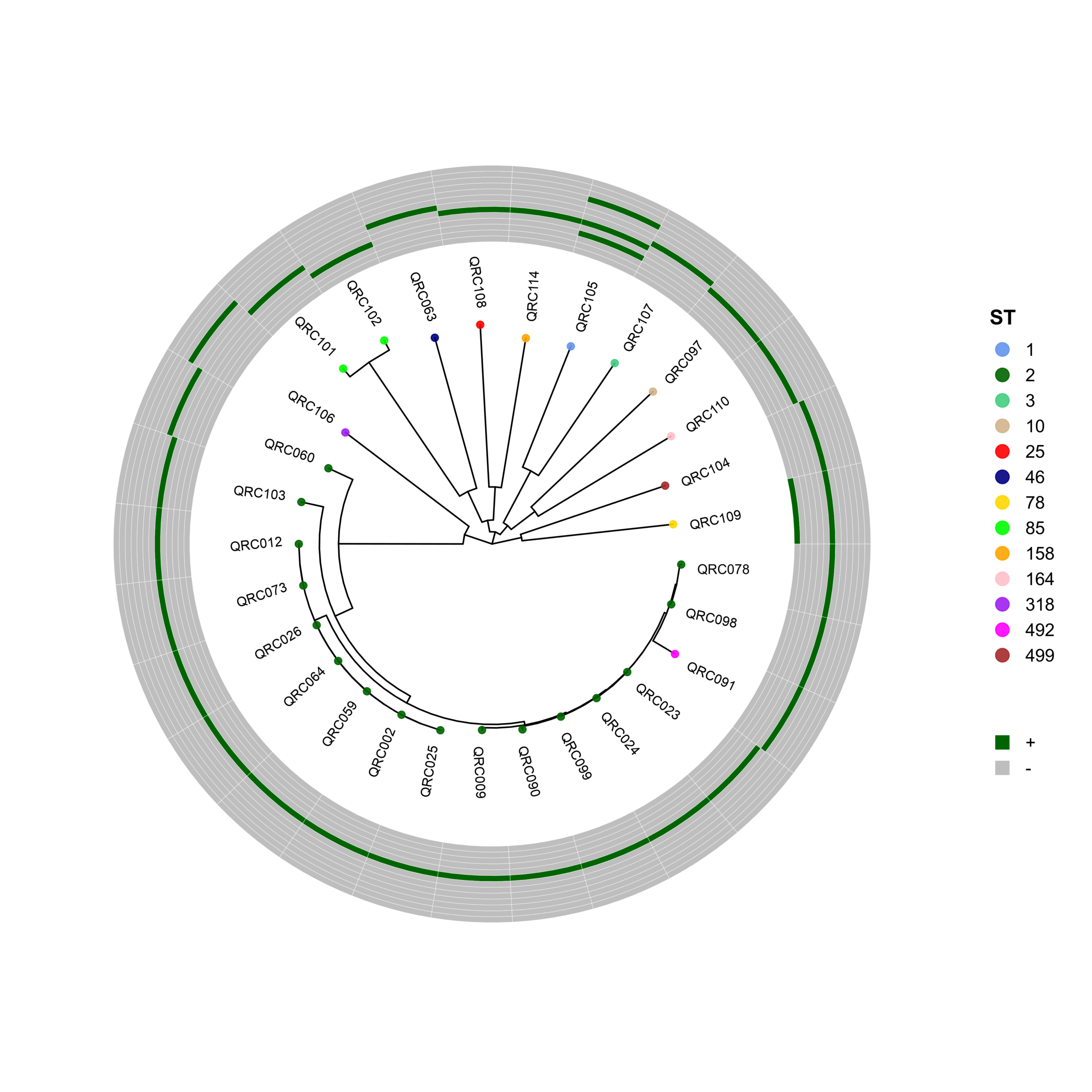 FigS1_abaumannii_final_clean