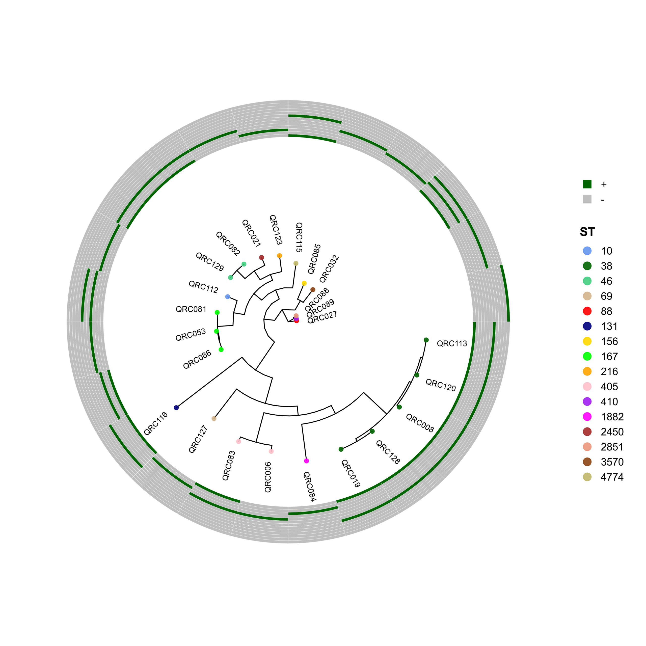 FigS1_ecoli_final_clean