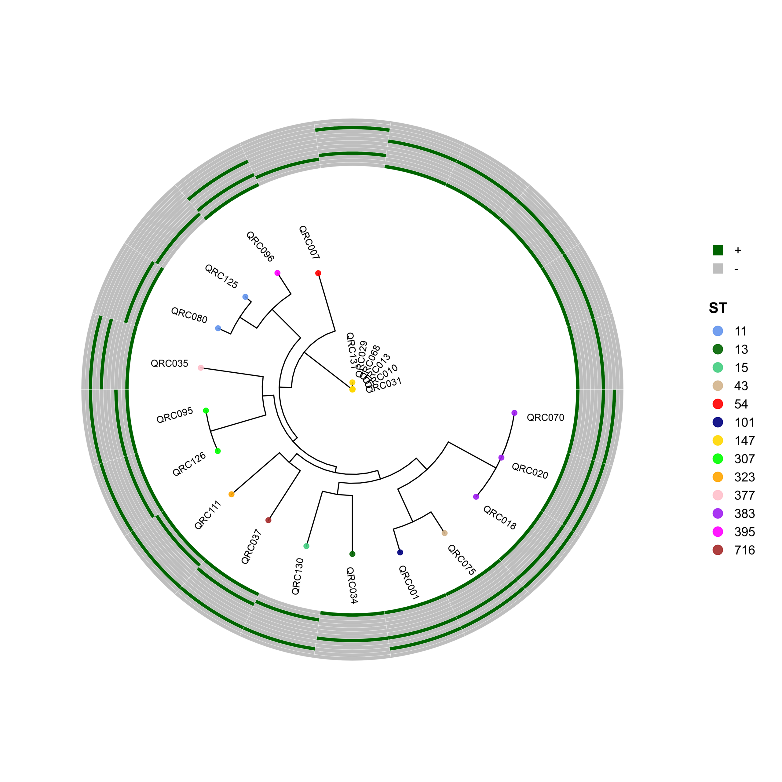 FigS1_kpneumoniae_final_clean