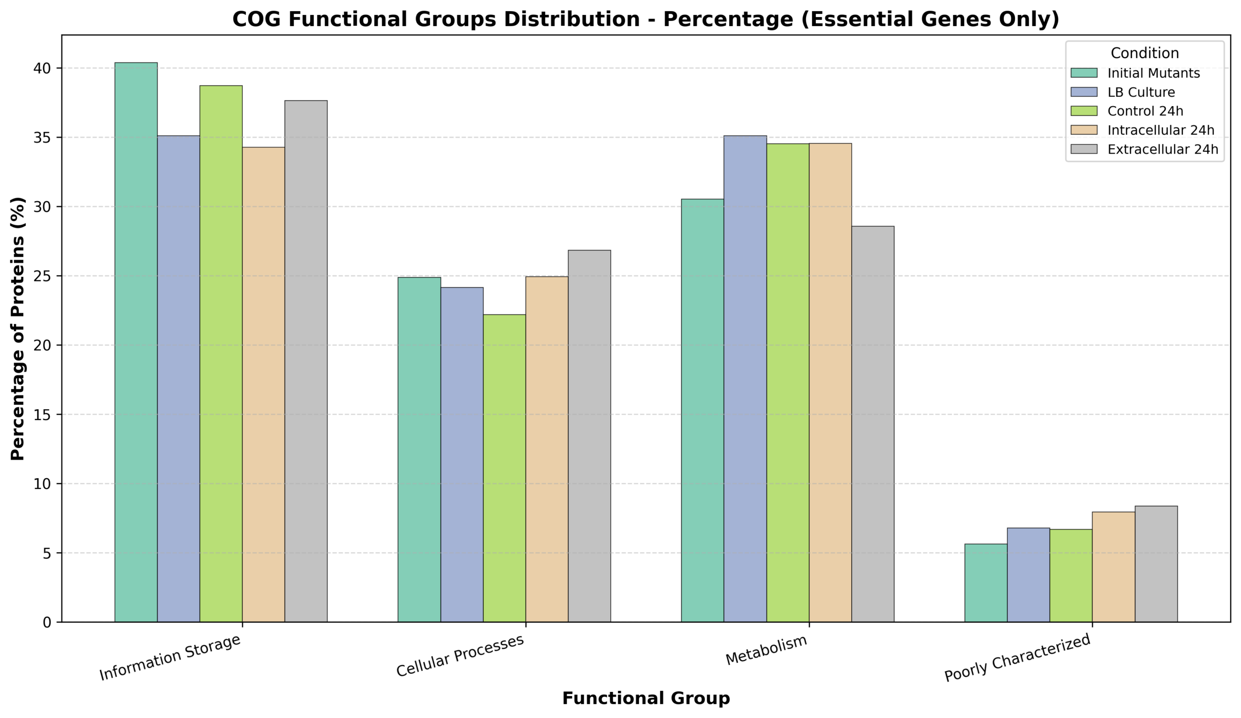COG_groups_barchart_percent