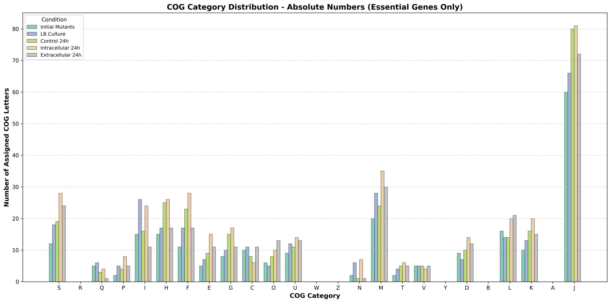 COG_letters_barchart_absolute